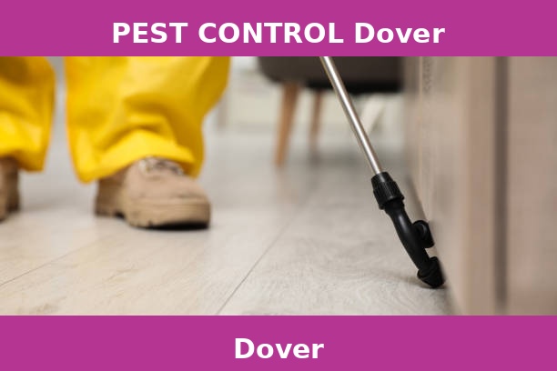 PEST CONTROL Dover